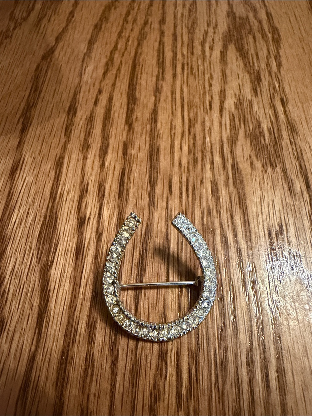 Crystal Horseshoe Brooch - Silver Tone